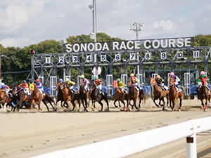 兵庫県競馬組合／園田競馬場、姫路競馬場、西脇馬事公苑等 そのだけいば・ひめじけいばの運営事務　／　地方公務員採用