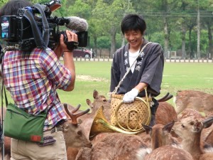 一般財団法人奈良の鹿愛護会 奈良のシカ保護スタッフ／正社員登用あり／賞与4カ月分以上