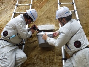 株式会社セレス 土木系技術職 （大型構造試験の現場監督／地質調査・鉱物分析）