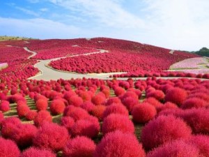 一般財団法人公園財団 総合職／賞与年2回／年休120日／住宅手当・扶養手当あり