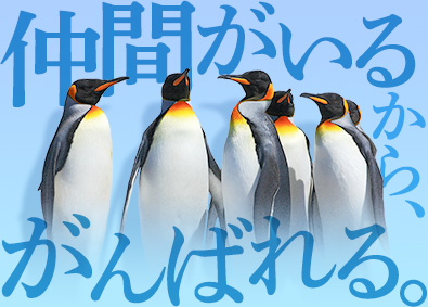 株式会社ワールドコーポレーション(Nareru Group) 同期とがんばる事務系サポート／年休120日／週休2日／hl