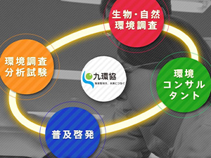 一般財団法人 九州環境管理協会 調査・分析スタッフ／生物調査スタッフ／賞与平均7.3ヵ月