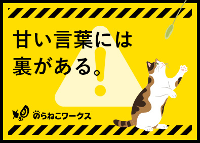 のらねこワークス株式会社 開発エンジニア／入社者全員が100万～300万円年収アップ