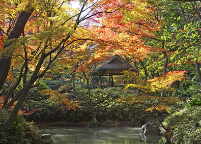 公益財団法人東京都公園協会 都立公園施設の建築技術職／年休126日／転勤無し／面接1回