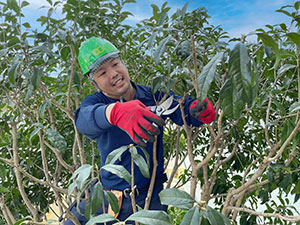 株式会社クイック・ガーデニング 植木カットデザイナー／勤務時間・休日自由／未経験スタート歓迎