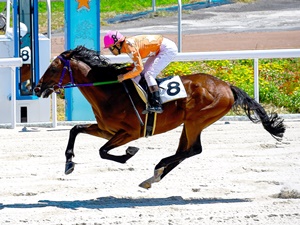 日本トーター株式会社 ボートレース・競馬場などの機械保守エンジニア／未経験歓迎！