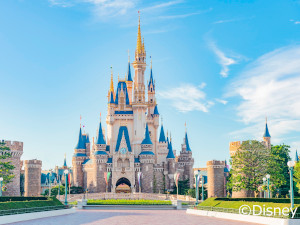 株式会社オリエンタルランド【プライム市場】 東京ディズニーリゾート（R）のコスチュームコーディネーター