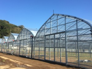 平林物産株式会社 地元農業に貢献する営業職／ハウス・梱包・種苗など／未経験歓迎