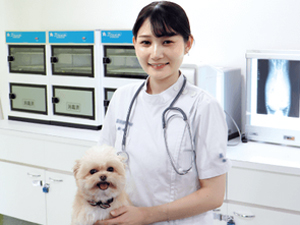 学校法人２１世紀アカデメイア（福岡ビジネス・アカデミー） 専門学校・動物看護師教員／月給25万円～／未経験可