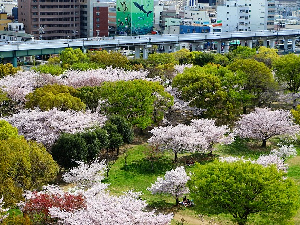 一般財団法人大阪スポーツみどり財団 未経験OK／公園やスポーツ施設の管理運営（事務）・企画