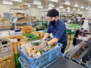 株式会社ゼントクコーポレーション お花の出荷業務／未経験歓迎／月給25万円以上／賞与年2回