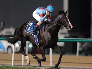 ノーザンファーム 海外レースのサポート・競走馬のセリ参加／賞与実績5.7カ月