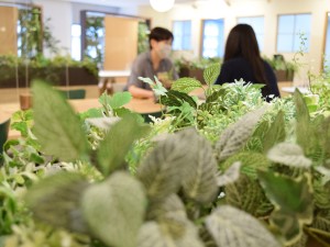 ベネリック株式会社 人気キャラグッズのPR担当（SNS・ECプロモ）／賞与年3回