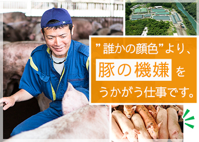 旭ファーム株式会社 養豚作業員／残業少なめ／賞与年2回／未経験歓迎／車通勤OK