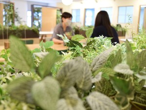 ベネリック株式会社 キャラクターグッズの輸入業務／賞与実績5カ月分／服装自由