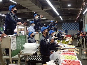 大果大阪青果株式会社 青果物の営業職／未経験歓迎／賞与3回／若手活躍中！