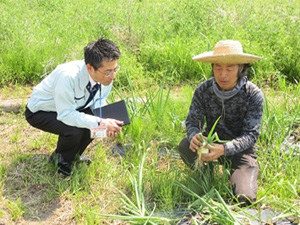 農林水産省（地方農政局及び北海道農政事務所 ） 国家公務員技術職／国家試験なし／各種手当充実／完全週休2日制
