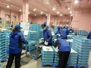 株式会社シルバーライフ【スタンダード市場】 倉庫管理職／未経験から月給33万円／学歴不問／完全週休2日制