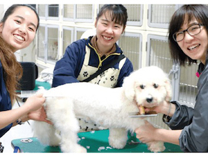 学校法人２１世紀アカデメイア（福岡ビジネス・アカデミー） トリマー・動物看護師／専門学校教員／未経験歓迎／完全週休2日
