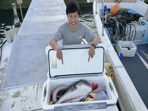 医療法人ＤＩＧ　ひろたまさき歯科 受付事務／転勤残業なし／時間単位での有給取得可