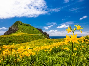 佐渡汽船運輸株式会社 運行管理／佐渡の課題解決を支える／月給35万円以上／社宅あり