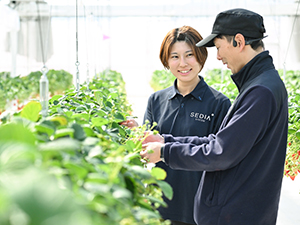 渡辺パイプ株式会社 未経験歓迎／業界大手／農業プラントメーカー／法人営業
