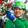 植木カットデザイナー（36歳）※前職：板金塗装業