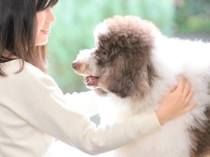 株式会社レイクウッズガーデン 飼育・販売スタッフ／未経験歓迎／残業月10H／愛犬と出勤OK