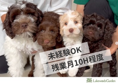 株式会社レイクウッズガーデン 飼育・販売スタッフ／未経験歓迎／残業月10H／愛犬と出勤OK
