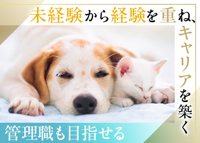 株式会社企画海 ペット関連と物流関連の総合職／月給27.8万円超／未経験歓迎