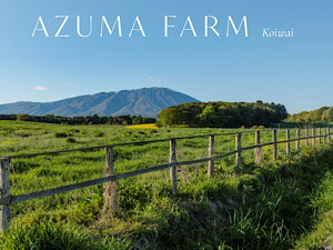 ＪＲ　ＳＴＢ小岩井開発株式会社 リゾートホテルスタッフ／未経験歓迎／住宅手当／転勤なし