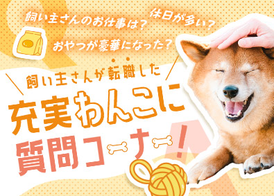 株式会社エスアイイー【TOKYO PRO Market】 IT事務／未経験歓迎／年休最大129日／在宅可／残業少なめ