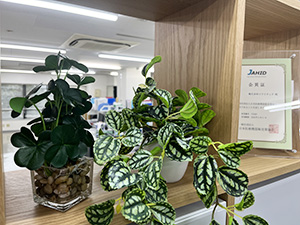 株式会社ソフトテック 営業事務／年休125日以上／服装・髪色自由／正社員登用あり