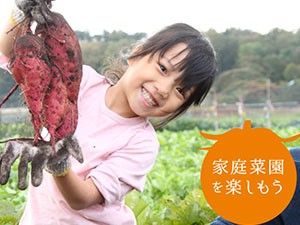 日本農産種苗株式会社 家庭菜園の楽しさを全国へ！パートナーセールス／土日休み
