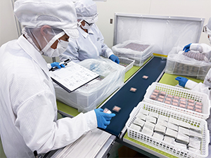 株式会社ビッグハンド 化粧品の品質管理／土日祝休み／年間休日124日以上／保育所有