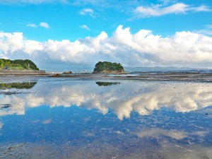 株式会社梅屋(丸大食品株式会社のグループ会社) 製造管理／独身寮あり／残業月10h／賞与年2回／長期連休あり