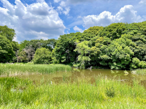 公益財団法人東京都公園協会 生物多様性普及担当員／研修完備／年休126日／残業月20h程