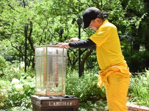 Ｌ’ＡＢＥＩＬＬＥ株式会社（ラベイユ） 養蜂部マネージャー／月給40万円以上／年休120日以上