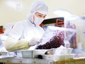 アピ株式会社 製造スタッフ／正社員採用／賞与年2回／土日祝休／転勤なし