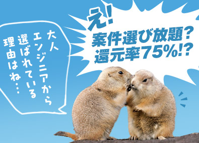 マッチスル株式会社 ITエンジニア／9割年収UP／40～70代活躍中／リモート可