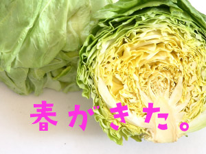 株式会社ナニワ 経理担当／月次決算業務あり／実7ｈ／16時終了／残業ほぼナシ