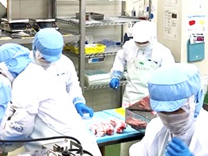 エスファクトリー東北株式会社(エスフーズグループ) 製造／未経験歓迎／賞与年3回／年休実質117日／手当充実