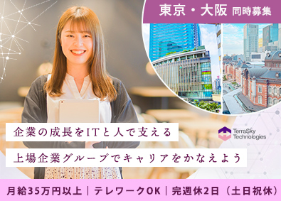 株式会社テラスカイ・テクノロジーズ(テラスカイグループ) ITと人で企業を支える法人営業／月給35万円／リモートOK