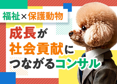 tocotoco株式会社 コンサルタント／未経験でも月給30万円以上／ペット同伴OK