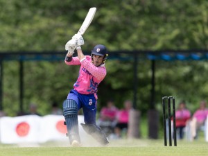 一般社団法人日本クリケット協会 アドバイザー／クリケットの発展を通し社会的価値の創造を支援