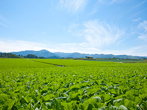 株式会社ＫＯＭＰＥＩＴＯ 営業職／北信越エリア／基本は在宅勤務／未経験大歓迎