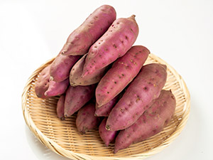 株式会社ＫＯＭＰＥＩＴＯ 営業職／中国・四国・九州エリア／基本は在宅勤務／未経験大歓迎