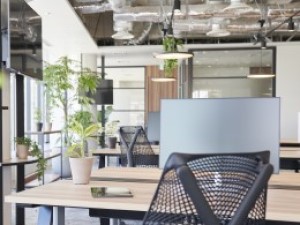 Ｚｅｒｔｅｃｈ　Ｊａｐａｎ合同会社 データアナリスト／未経験歓迎／残業ほぼなし／英語を活かせる