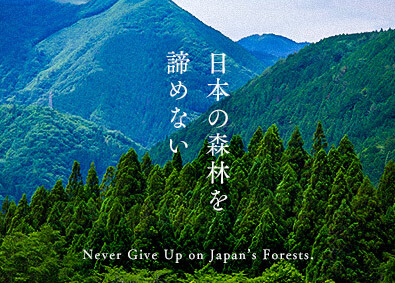 日建リース工業株式会社 マーケティング兼企画兼営業／森林産業の活性化を目指す新規事業
