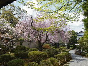 霊源寺 寺院の管理スタッフ／未経験歓迎／年齢不問／賞与年2回